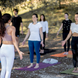 Mystic Yoga Flow & Sound - 1H15 de yoga Vinyasa au Parc du Vinaigrier à Nice - Mercredi 18H30