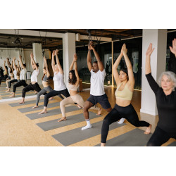 🪪Carte 5 Cours collectif de Yoga - tous niveaux - durée 1h - Nice centre - tous les lundis et mercredis à 19h